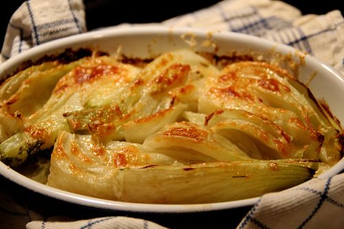 Fennel Gratin: Everyday Is A Holiday-AROMA CUCINA
